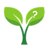 SproutQuiz logo